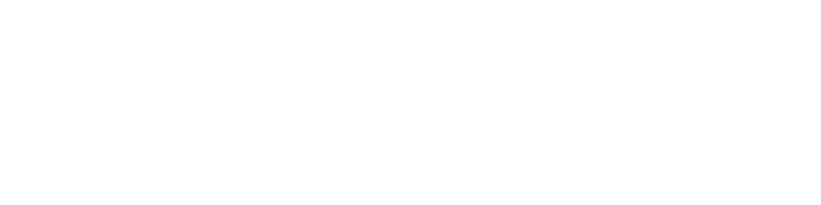 La Invisible